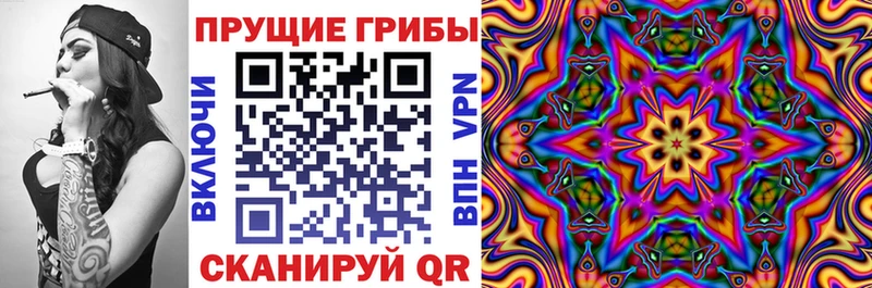 Псилоцибиновые грибы Cubensis  даркнет сайт  Старый Крым 